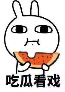 吃瓜娱乐间真假,真假吃瓜，真相大白  第1张