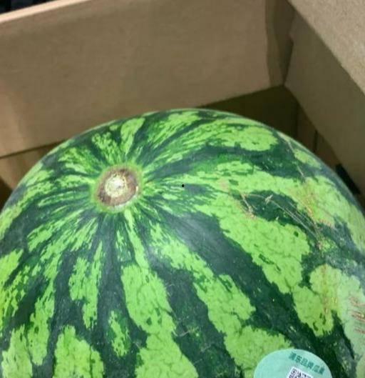 吃瓜娱乐间真假,真假吃瓜，真相大白  第2张