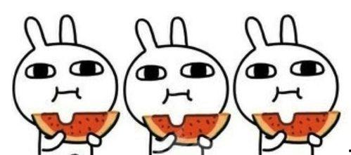 娱乐吃瓜群众陈亚男,娱乐界的“吃瓜群众”传奇  第3张