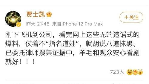 吃瓜爆料娱乐圈文字,揭秘明星背后的故事  第2张