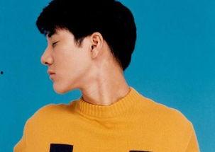 王力宏家庭资料简介,音乐才子背后的家庭故事  第3张