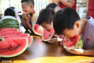 趣味吃瓜大比拼 第3张 趣味吃瓜大比拼 第3张